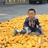记忆碎片