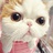 Miss.落