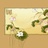 凛凛晓菊