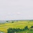 kiroku