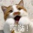 风吹发梢两边摆