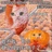 豆友60522388
