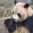 宁缺丶毋滥~】
