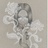 核桃壳