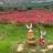 误入桃花源