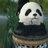 文