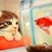 fish&cat