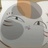 猫咪老师