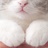 Yui🐱