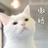 老苏