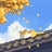 风起