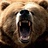 goalbear
