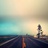 reason_zhu