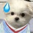 哆哆