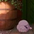 流云是絮の影
