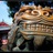 尼趣