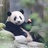 豆友74297446