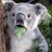 Niuge_BBC
