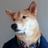 我是忠犬