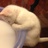 牛奶棒