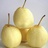 sili