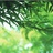 荒芜逸人