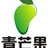 青芒果广告