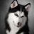 dogname