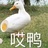 呀呀