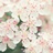 Lucia__璐