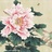 蕙的风