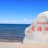 西域之旅
