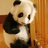 雍熙小邱