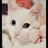 我就是一只猫