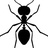 特立独行的蚂蚁