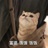 热血教师
