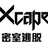 王小凯