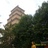 延河赤子