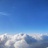风暖青林