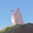 地球屋主人