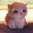 八月籽的猫^^