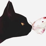 一只毛球球