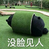 浪的飞起