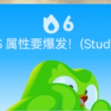 橘胖丁