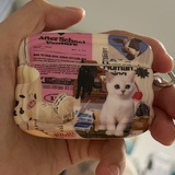 苹果和猫