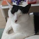 小江