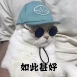 台城苦叟