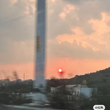 雏声