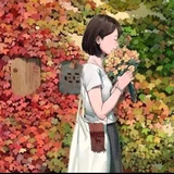 苏申申