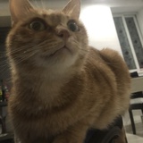 -_-#
